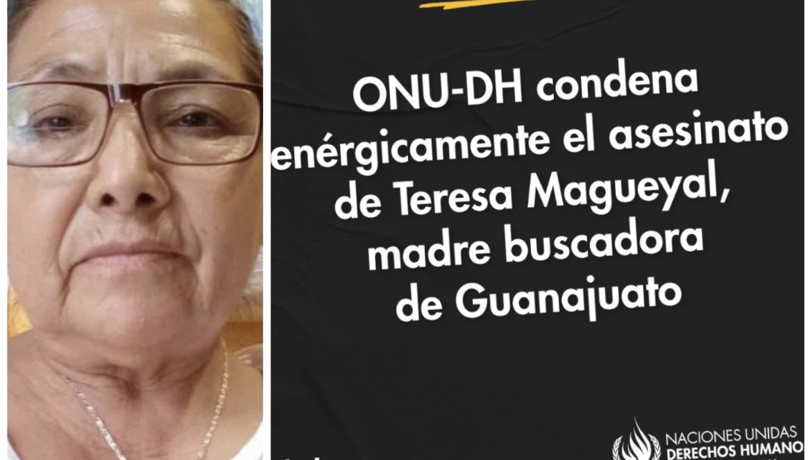 Condena Onu Asesinato De Madre Buscadora En Celaya Y Exige Protecci N A